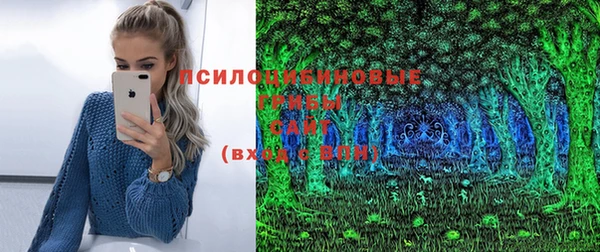 эйфоретик Беломорск