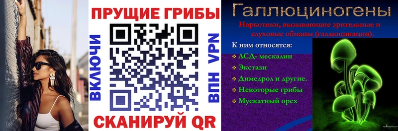 Псилоцибиновые грибы Cubensis  Купить  Белоярский 